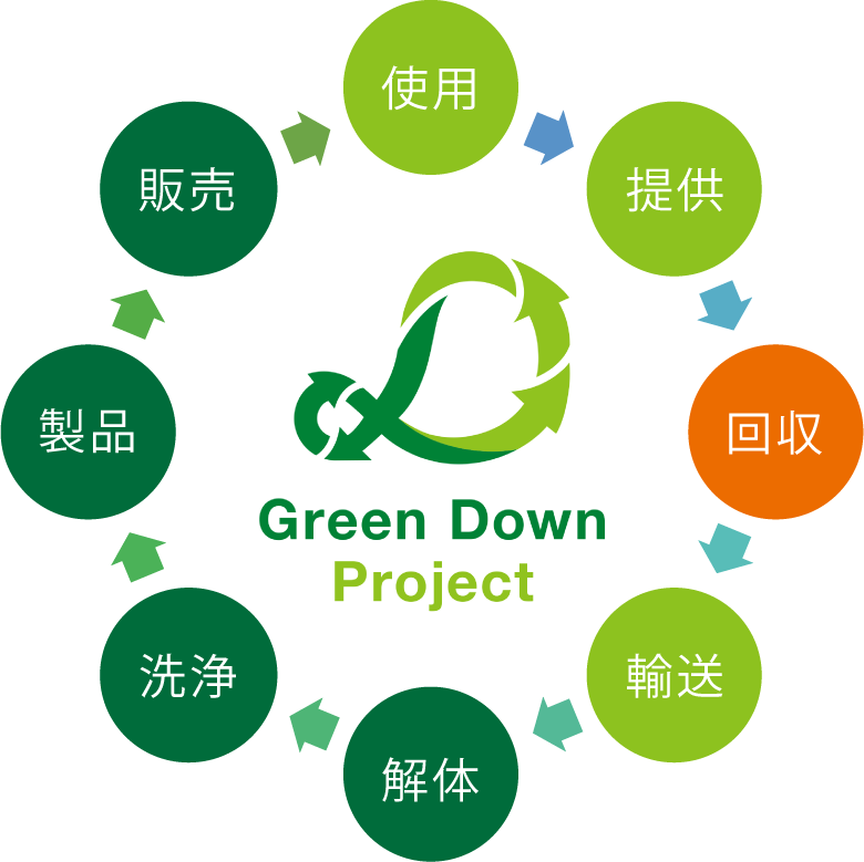 Green Down Project